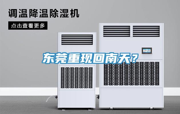 東莞重現回南天？