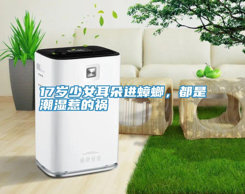 17歲少女耳朵進(jìn)蟑螂，都是潮濕惹的禍