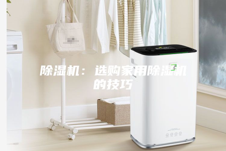 除濕機：選購家用除濕機的技巧