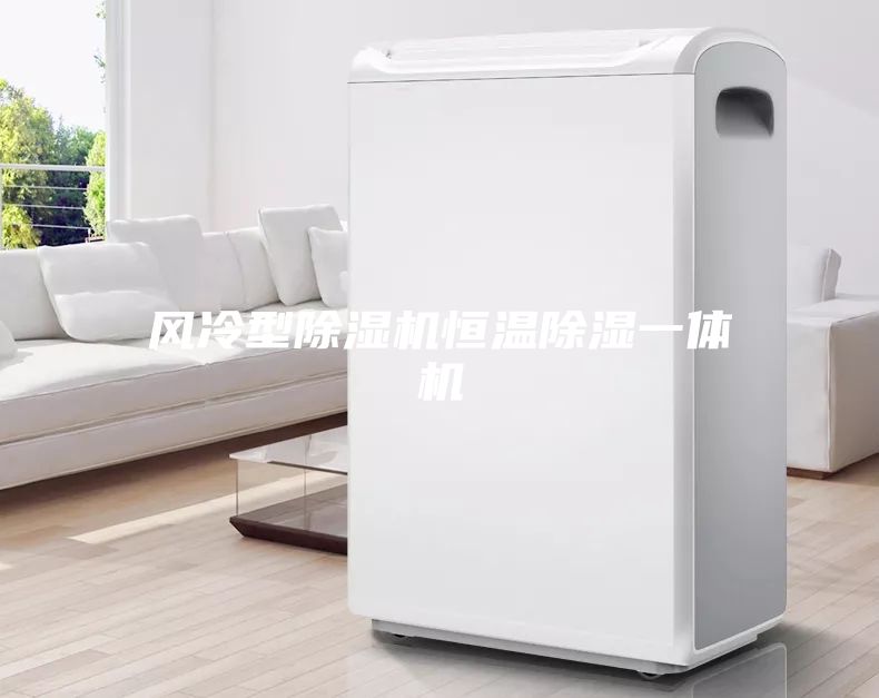 風冷型除濕機恒溫除濕一體機