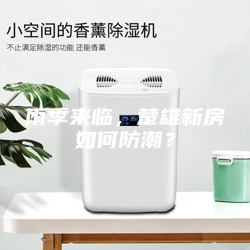 雨季來臨，楚雄新房如何防潮？