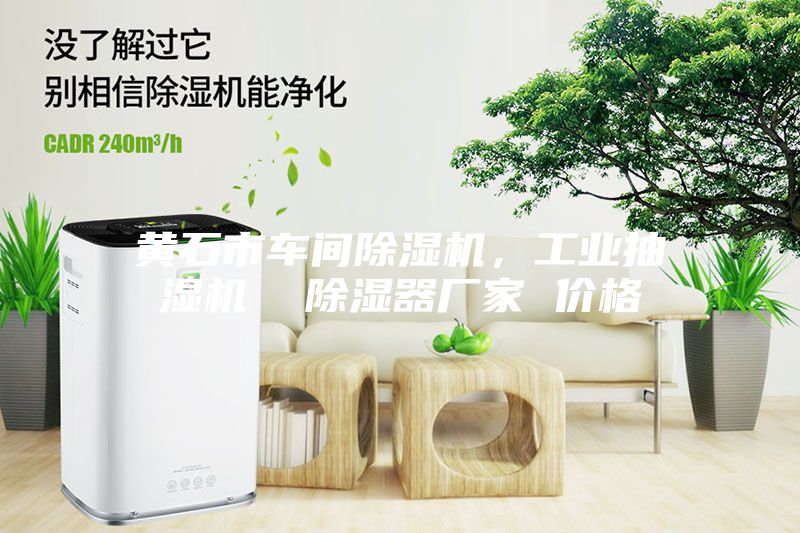 黃石市車間除濕機，工業抽濕機  除濕器廠家 價格