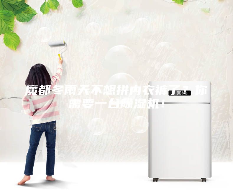 魔都冬雨天不想拼內衣褲了？你需要一臺除濕機！