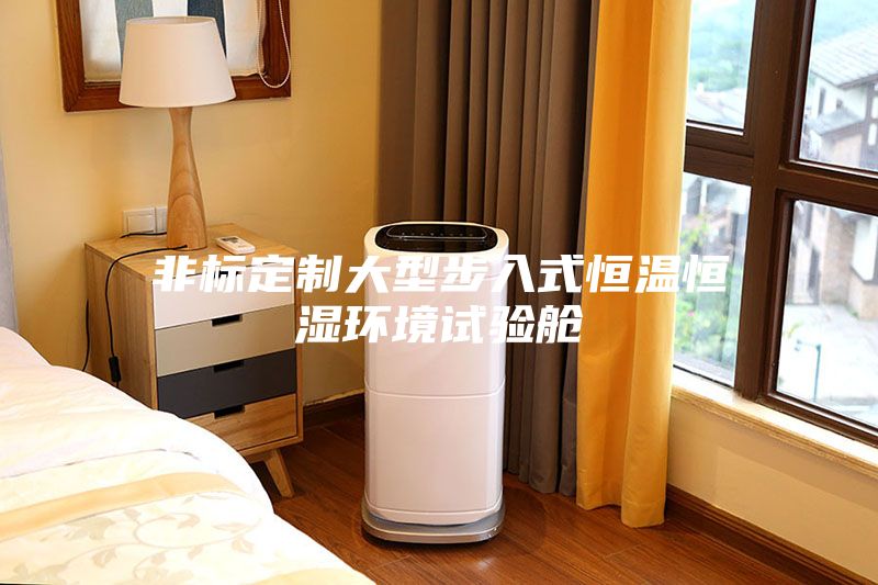 非標定制大型步入式恒溫恒濕環境試驗艙