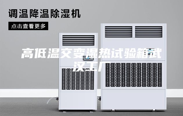 高低溫交變濕熱試驗(yàn)箱武漢工廠